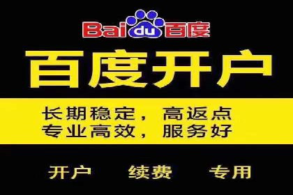 百度竞价广告的创意与执行：成功案例剖析